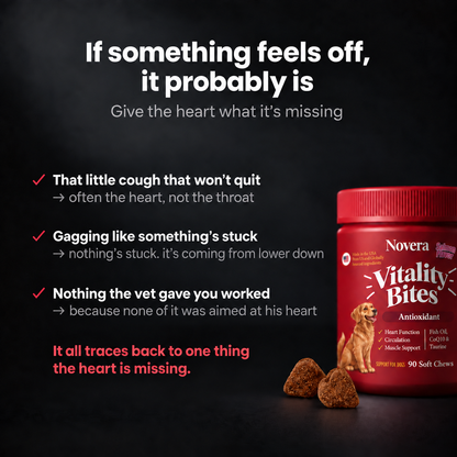 Novera Vitality Bites