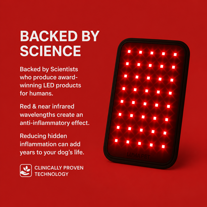 Novera Red Light Pet Pad