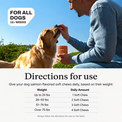 Allergy & Immune Bites