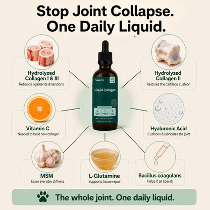 Novera's Premium Liquid Collagen
