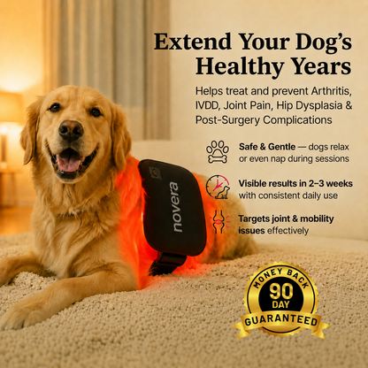 Novera Red Light Pet Pad