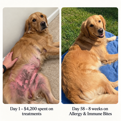 Allergy & Immune Bites