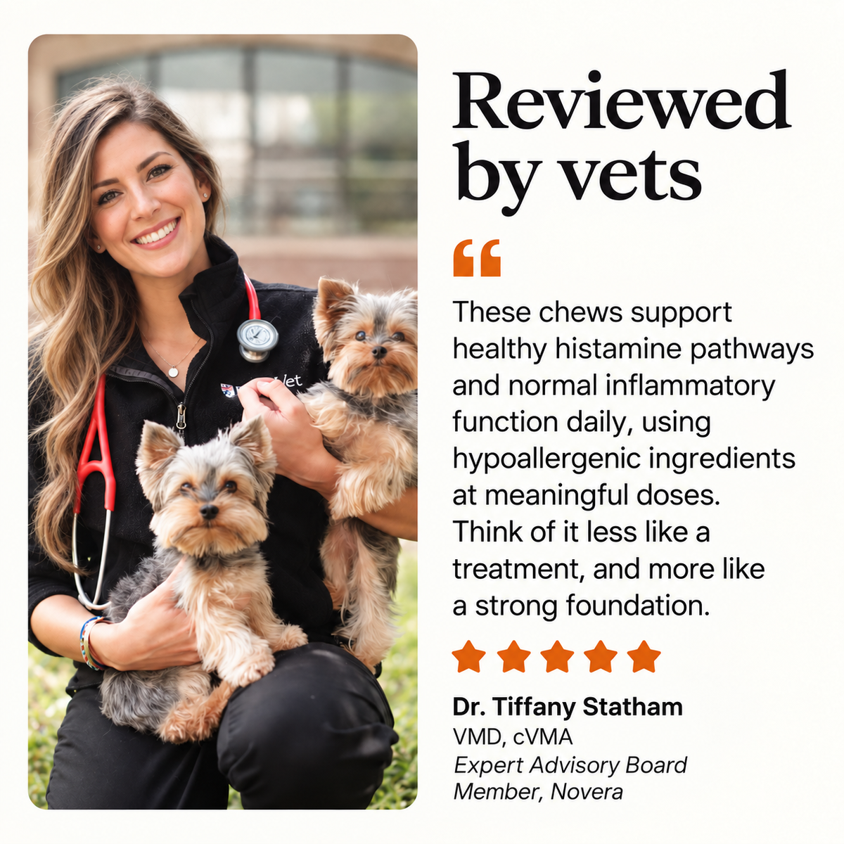 Allergy & Immune Bites
