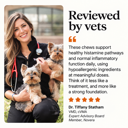 Allergy & Immune Bites