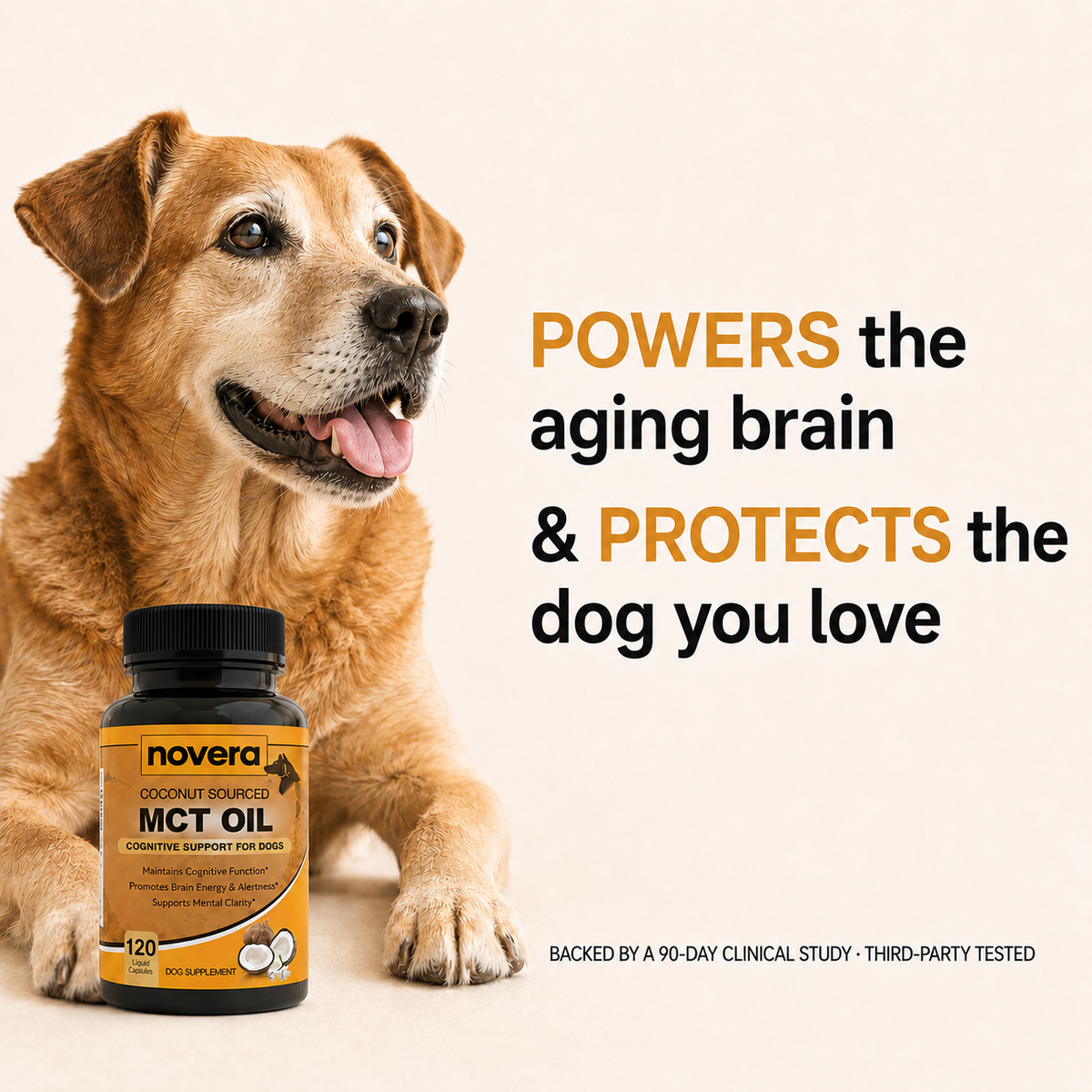 Make His Golden Years His Best Years with Novera™ MCT Oil